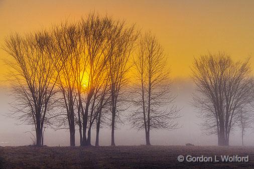 Foggy Sunrise_22576.jpg - Photographed near Smiths Falls, Ontario, Canada.